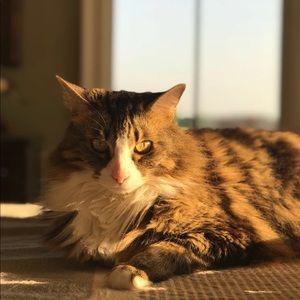 Meet your Posher, Sara